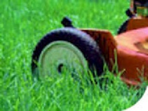 lawnmower picture