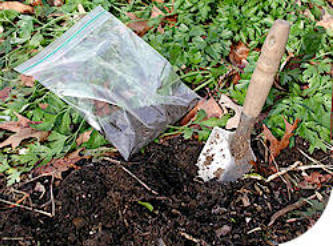 soil-sampling-picture