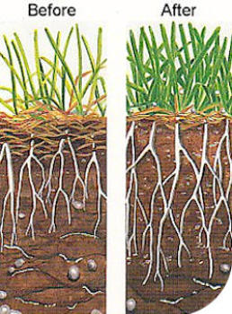 results of adjusting the ph of soil